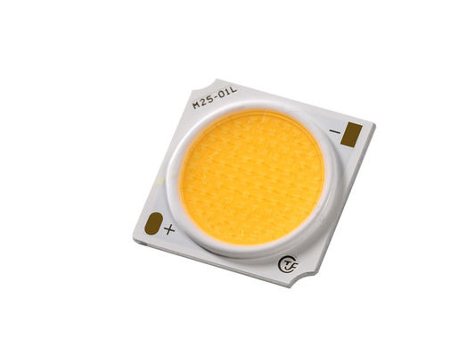 Chiếc chip chống nước LED COB 30W cho ánh sáng màu chuẩn ANSI