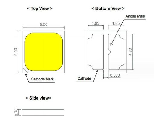 Khu vườn trồng trong nhà dẫn đèn LED trồng cây trồng nhà kính nông nghiệp
